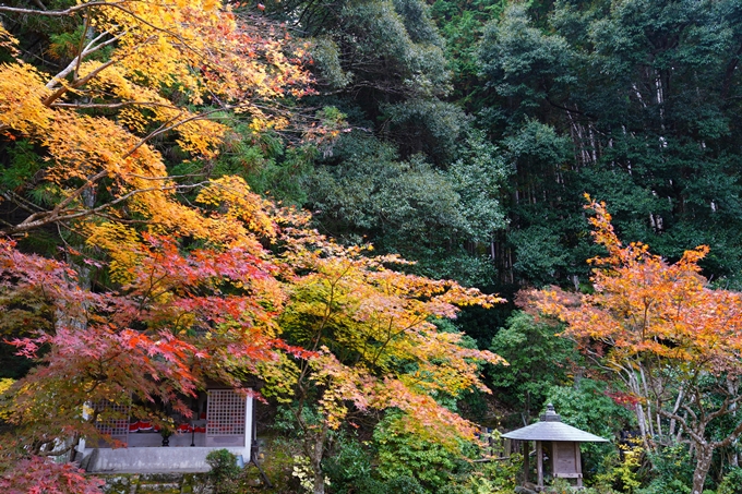 京都の紅葉_2021_06　積善寺　No2