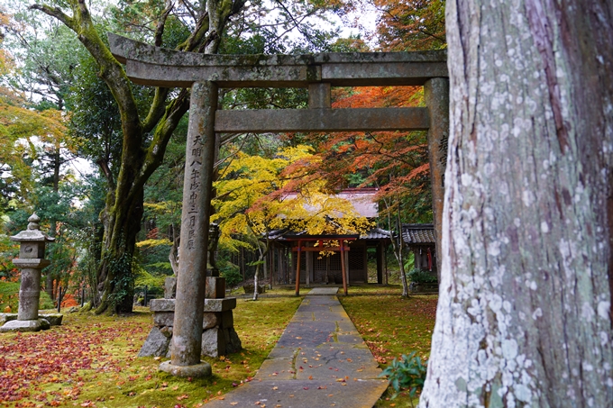 京都の紅葉_2021_06　積善寺　No4