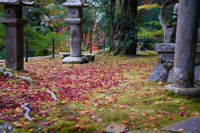 京都の紅葉_2021_06　積善寺　No5