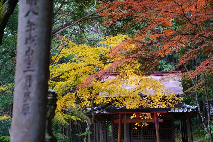 京都の紅葉_2021_06　積善寺　No6