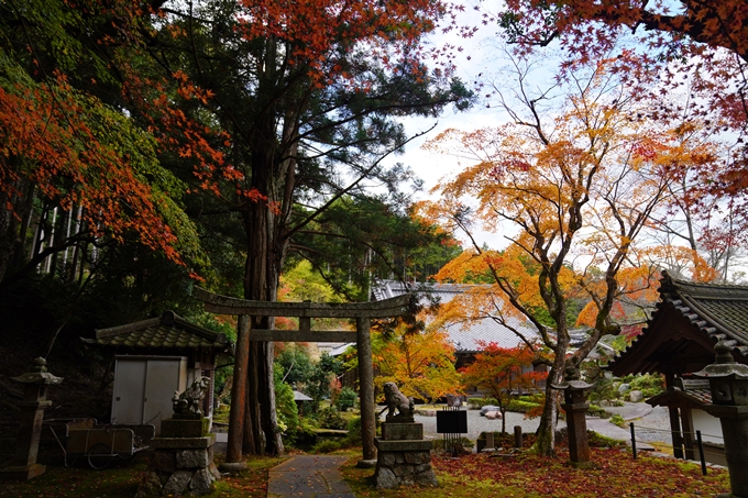 京都の紅葉_2021_06　積善寺　No8