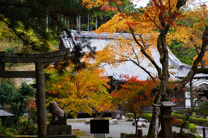 京都の紅葉_2021_06　積善寺　No10