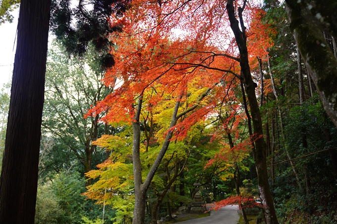 京都の紅葉_2021_06　積善寺　No13