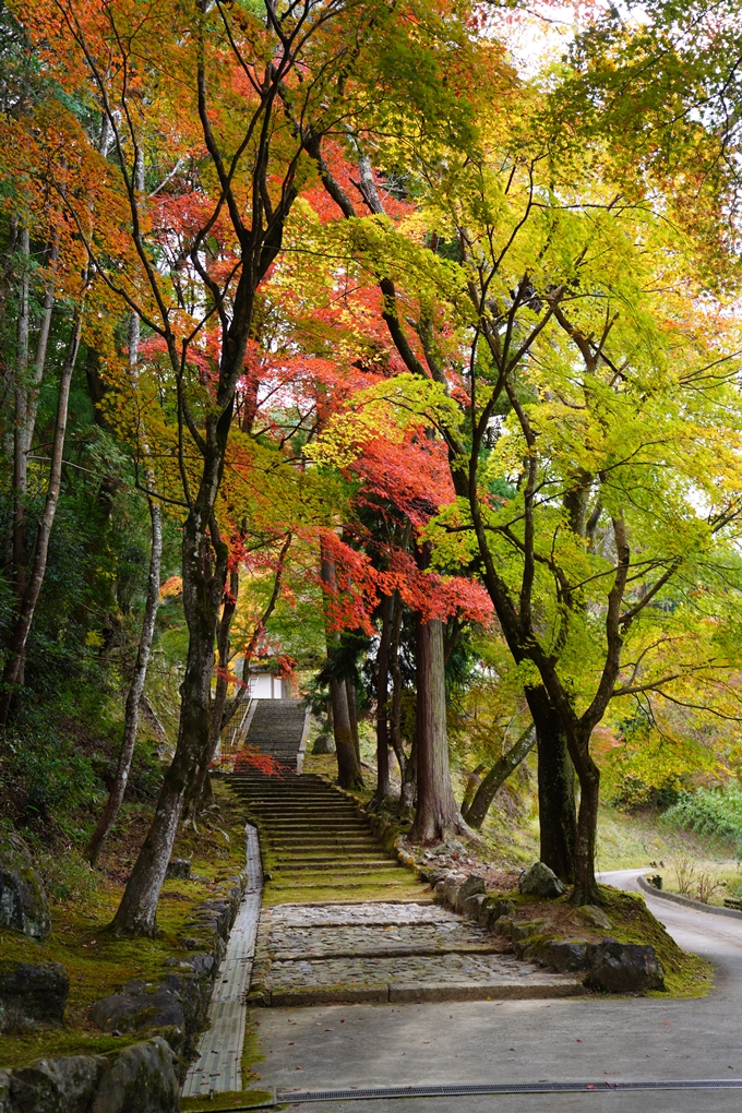 京都の紅葉_2021_06　積善寺　No14