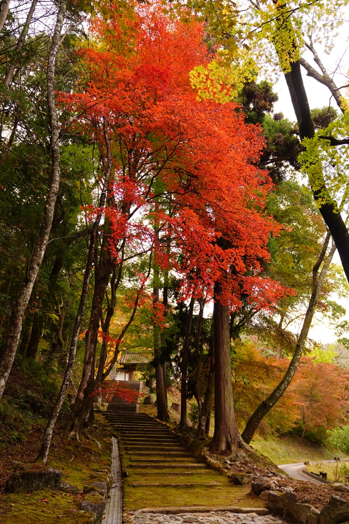 京都の紅葉_2021_06　積善寺　No16