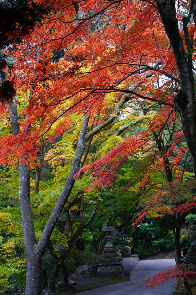 京都の紅葉_2021_06　積善寺　No21