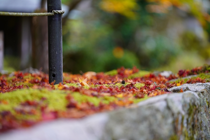 京都の紅葉_2021_06　積善寺　No24