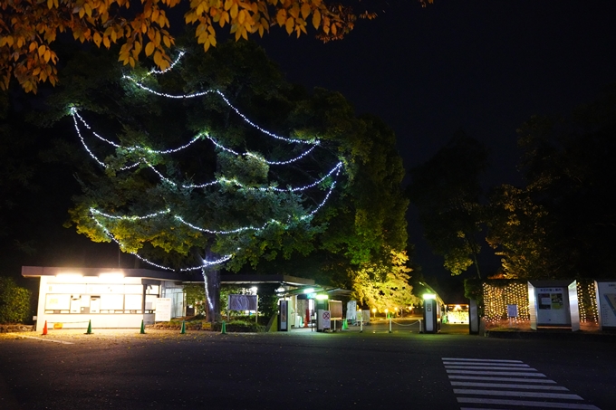 京都の紅葉_2021_08　京都府立植物園　No2