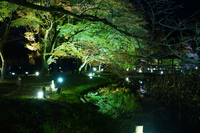 京都の紅葉_2021_08　京都府立植物園　No15