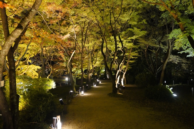 京都の紅葉_2021_08　京都府立植物園　No21