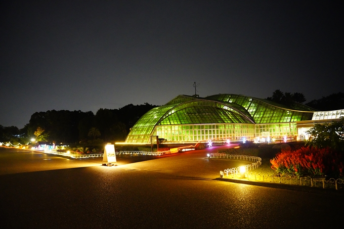 京都の紅葉_2021_08　京都府立植物園　No26