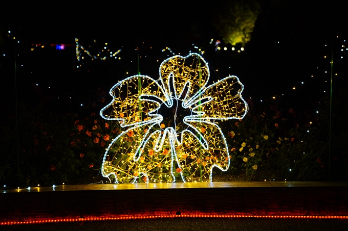 京都の紅葉_2021_08　京都府立植物園　No27