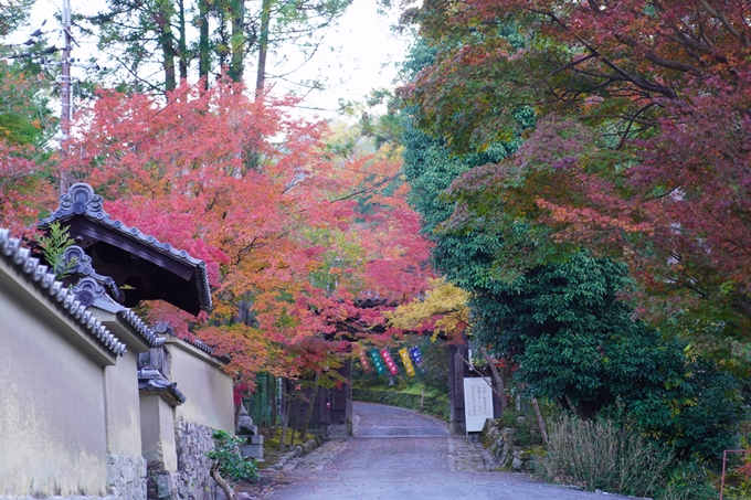 京都の紅葉_2021_09　赤山禅院　No3