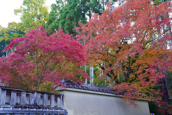 京都の紅葉_2021_09　赤山禅院　No4