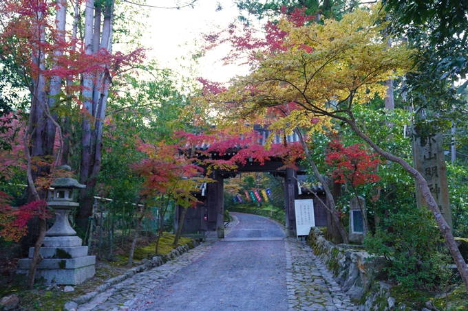 京都の紅葉_2021_09　赤山禅院　No5