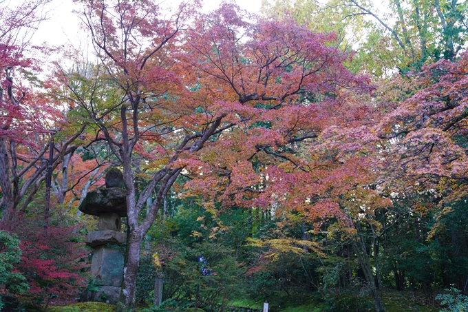 京都の紅葉_2021_09　赤山禅院　No6