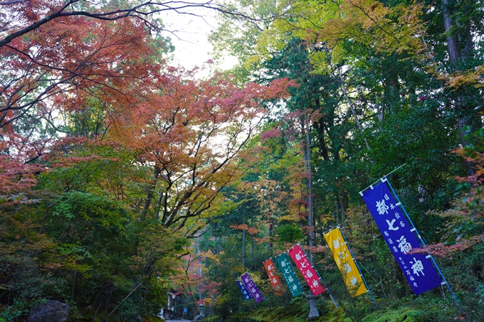 京都の紅葉_2021_09　赤山禅院　No7