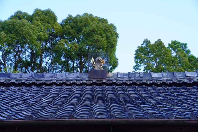 京都の紅葉_2021_09　赤山禅院　No11