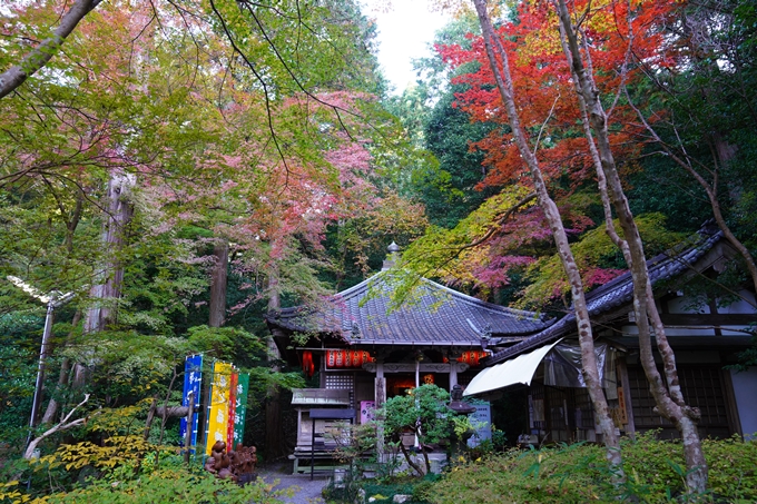 京都の紅葉_2021_09　赤山禅院　No17