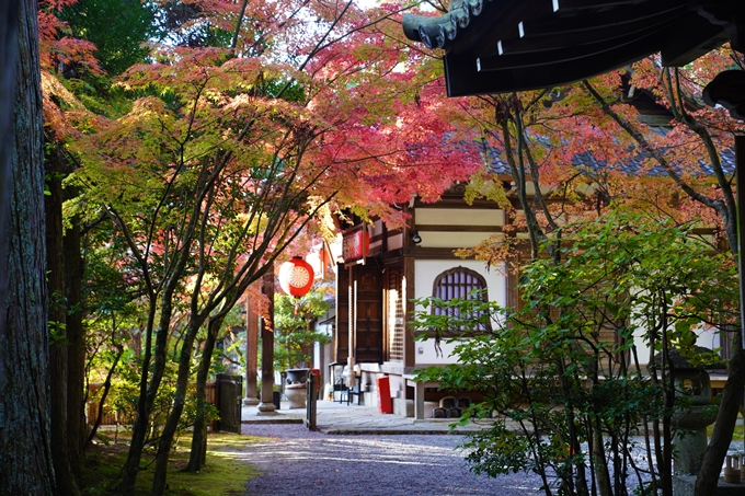 京都の紅葉_2021_09　赤山禅院　No19