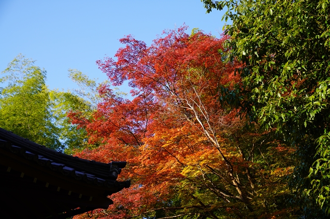 京都の紅葉_2021_09　赤山禅院　No20