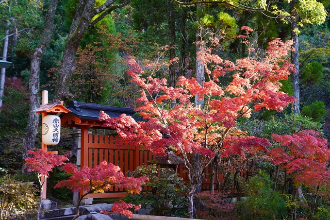 京都の紅葉_2021_09　赤山禅院　No22