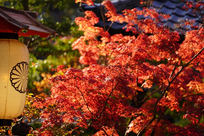 京都の紅葉_2021_09　赤山禅院　No31