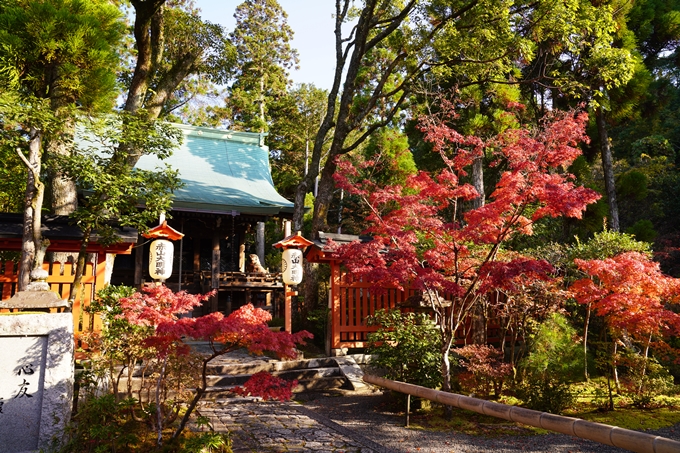 京都の紅葉_2021_09　赤山禅院　No33