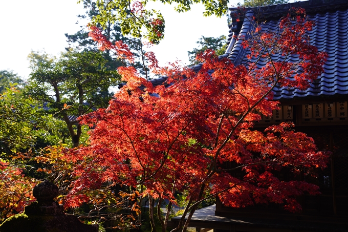 京都の紅葉_2021_09　赤山禅院　No35