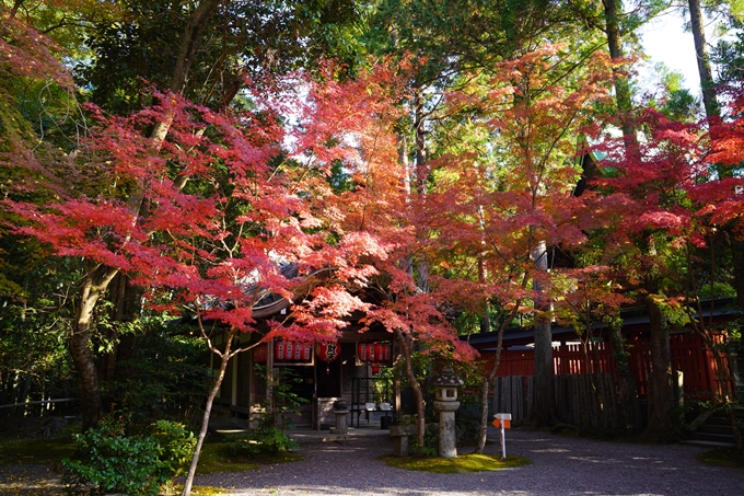 京都の紅葉_2021_09　赤山禅院　No37