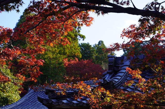 京都の紅葉_2021_09　赤山禅院　No40