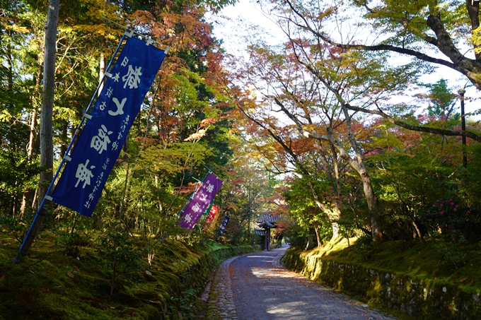 京都の紅葉_2021_09　赤山禅院　No41