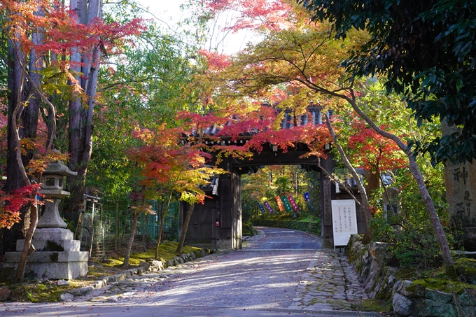 京都の紅葉_2021_09　赤山禅院　No42