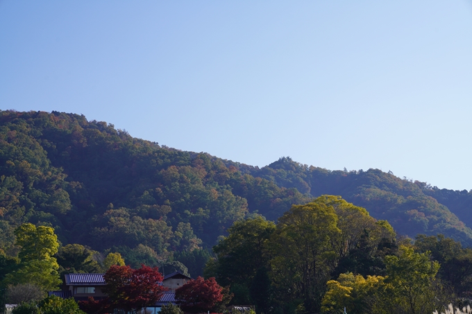 京都の紅葉_2021_10　曼殊院門跡　No2