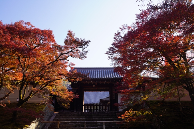 京都の紅葉_2021_10　曼殊院門跡　No5