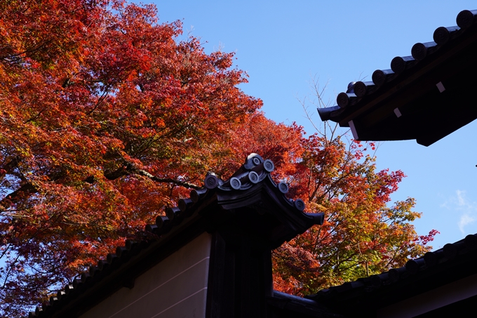 京都の紅葉_2021_10　曼殊院門跡　No7