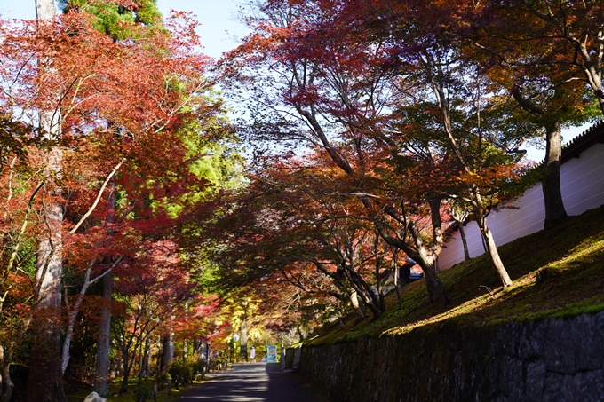 京都の紅葉_2021_10　曼殊院門跡　No10