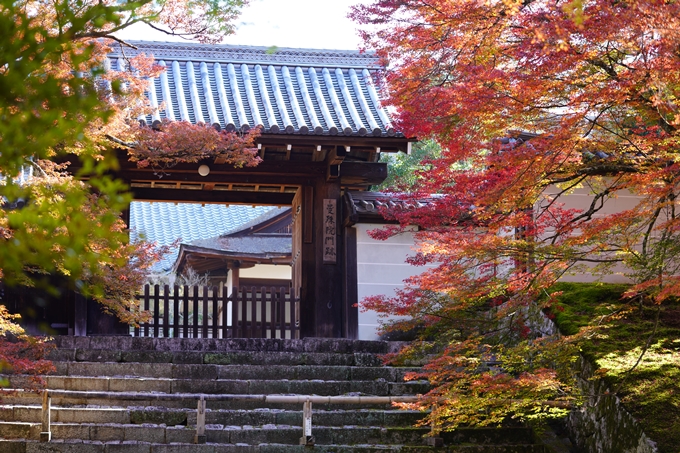 京都の紅葉_2021_10　曼殊院門跡　No17