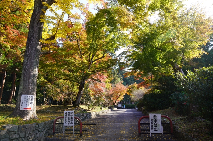 京都の紅葉_2021_10　曼殊院門跡　No25