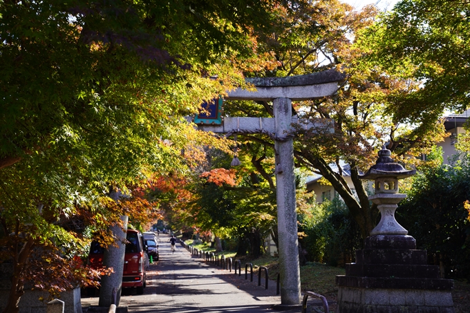 京都の紅葉_2021_10　曼殊院門跡　No27