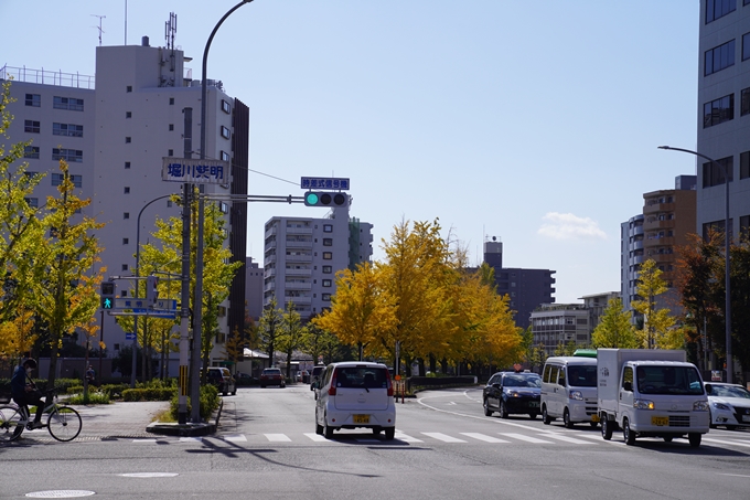 京都の紅葉_2021_11　堀川通_銀杏並木　No2