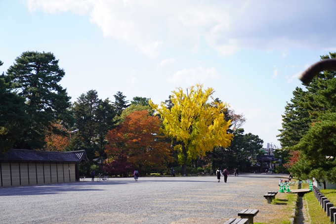 京都の紅葉_2021_12　京都御苑　No4