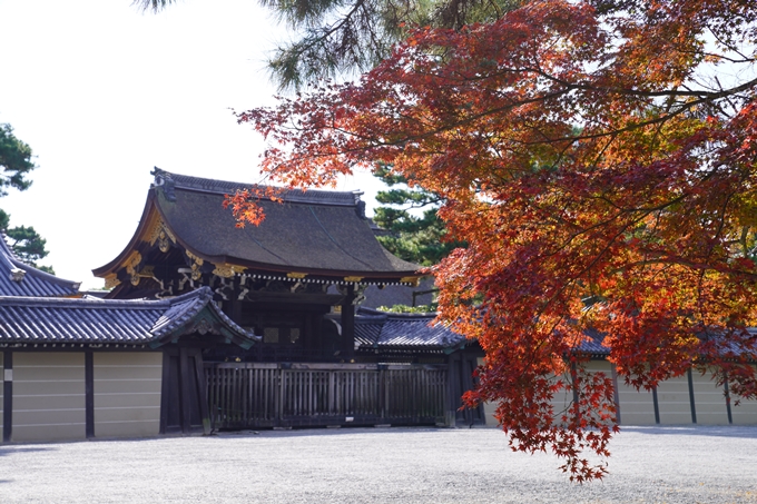 京都の紅葉_2021_12　京都御苑　No6