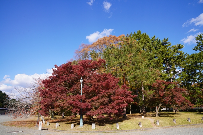 京都の紅葉_2021_12　京都御苑　No21