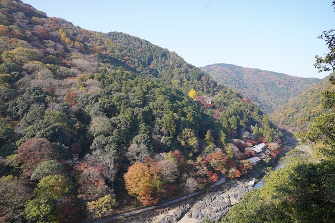 京都の紅葉_2021_14　嵐山公園　No27