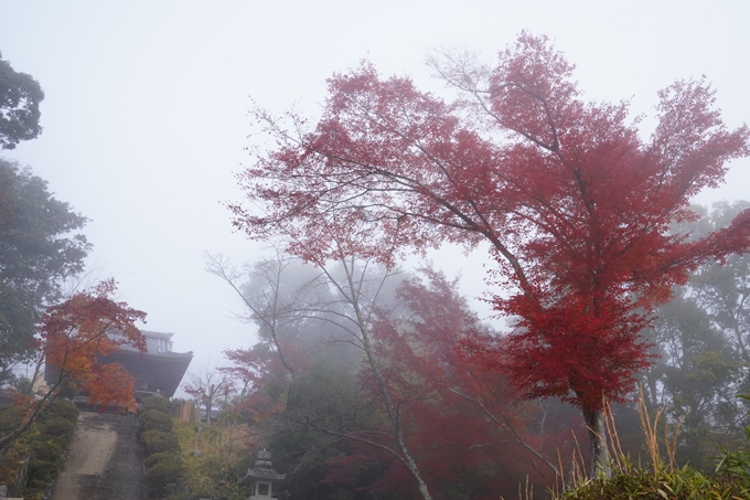 京都の紅葉_2021_17　千手寺_2　No4