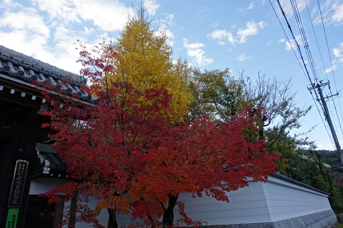 京都の紅葉_2021_24　南禅寺　No31