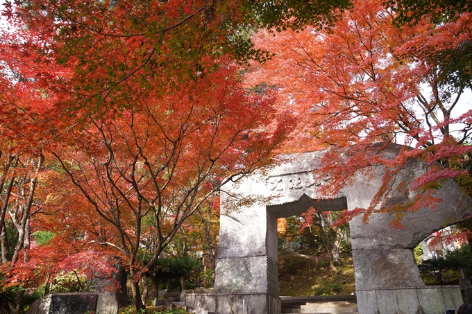 京都の紅葉_2021_18　苗秀寺_2　No5