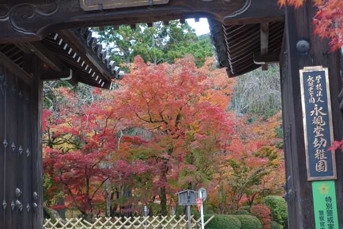 京都の紅葉_2021_24　南禅寺　No32