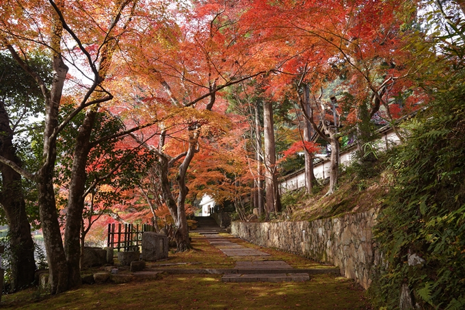 京都の紅葉_2021_18　苗秀寺_2　No6